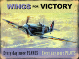 Kevin Walsh - Wings for Victory Peltikyltit