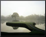 TPC Sawgrass the Stadium Course, Hole 17, sunset Mounted Photo by Stephen Szurlej