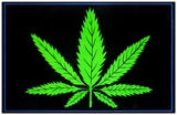 Leaf Posters