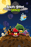 Angry Birds-Space Posters