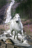 Bob Langrish-Waterfall Posters
