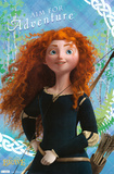Brave - Merida Print