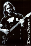 Pink Floyd (David Gilmour) Music Poster Print Posters