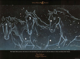 No More Night Mares Horses in Stars Art Print Poster Poster