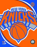 New York Knicks 2012 Team Logo Photo