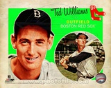 Ted Williams 2012 Studio Plus Photo