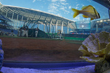 Miami, FL - December 09: Miami Marlins Ballpark - Exterior Photographic Print by Mike Ehrmann