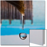 Little Light Prints by Publicover 