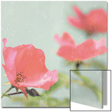Botanical Romance Prints by Lambert 