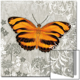 Orange Butterfly I Posters par Hopfensperger 