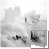 Birds in the Storm Prints by Cano 