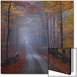 Misty Road Prints by Strand 