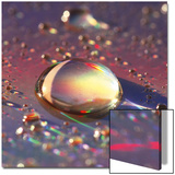 Spectrum Prints by Seidel 