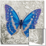 Blue Butterfly I Kunstdrucke von Hopfensperger 