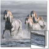 Horses Running at the Beach Prints by Llovet 