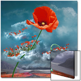 Le Coquelicot Indiscipliné Posters by Maïlo-M-L Vareilles 