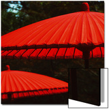 Red Protection Print by Weber 