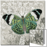 Green Butterfly I Kunstdrucke von Hopfensperger 