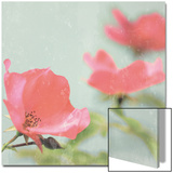 Botanical Romance Prints by Lambert 