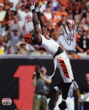 Chad Johnson Cincinnati Bengals -Backward Catch- Photo