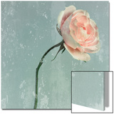 Romantic Pink Rose Prints by Lambert 