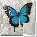 Blue Butterfly II Prints by Hopfensperger 