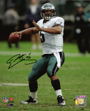 Donovan McNabb Philadelphia Eagles -Looking Downfield Photo
