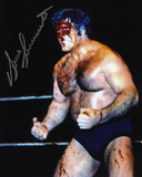 Bruno Sammartino WWWF - Blood Photo
