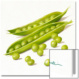 PiSeLLi Prints by Golinelli 