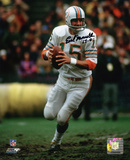 Earl Morrall Miami Dolphins with 72 17-0 Inscription Photo