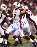 Matt Leinart Arizona Cardinals Photo