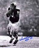 Dick Butkus Chicago Bears -Intercepting- with HOF 79 Inscription Photo