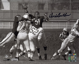 Dick Butkus Chicago Bears - Swatting Unitas Pass Photo