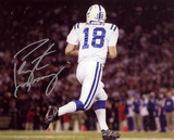 Peyton Manning Indianapolis Colts Photo