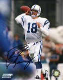Peyton Manning Indianapolis Colts Photo
