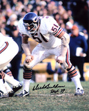 Dick Butkus Chicago Bears -In Stance- with HOF 79 Inscription Photo