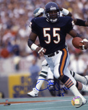 Otis Wilson Chicago Bears Autographed Photo (Hand Signed Collectable) Foto
