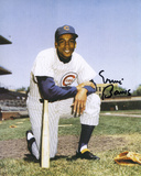 Ernie Banks Chicago Cubs Cardboard Autographed Photo (Hand Signed Collectable) Photo