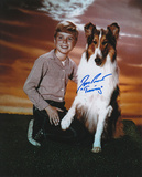 Jon Provost -Lassie with Timmy Inscription Photo