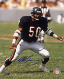 Mike Singletary Chicago Bears Action Photo