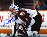 David Aebischer Colorado Avalanche Photo