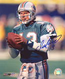 Dan Marino Miami Dolphins Photo