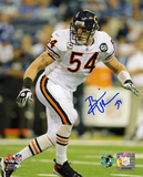 Brian Urlacher Chicago Bears - Action Photo