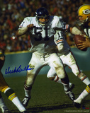 Dick Butkus Chicago Bears Photo