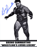 Bruno Sammartino WWWF Photo