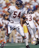Brian Urlacher Chicago Bears Photo