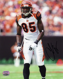 Chad Johnson Cincinnati Bengals -Pose- Photo