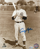 Andy Pafko Chicago Cubs Autographed Photo (Hand Signed Collectable) Photo