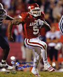 Darren McFadden Arkansas Razorbacks Photo