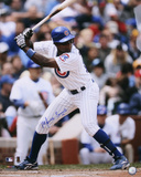 Alfonso Soriano Chicago Cubs Autographed Photo (Hand Signed Collectable) Photo
